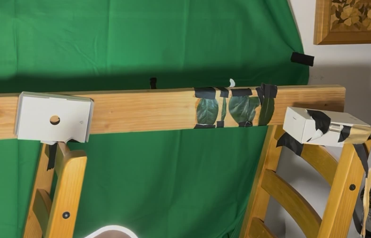 Hyperspectral leaf capture